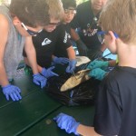 5th graders dissecting a shark